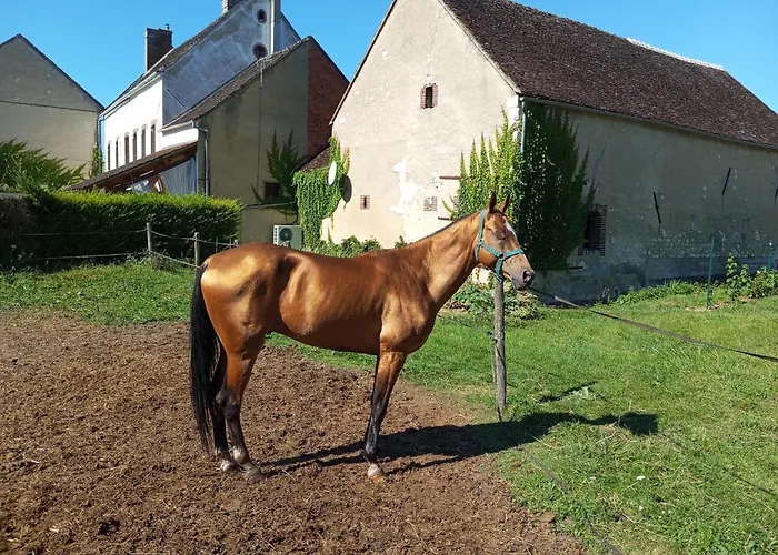 Le Moulin Neuf