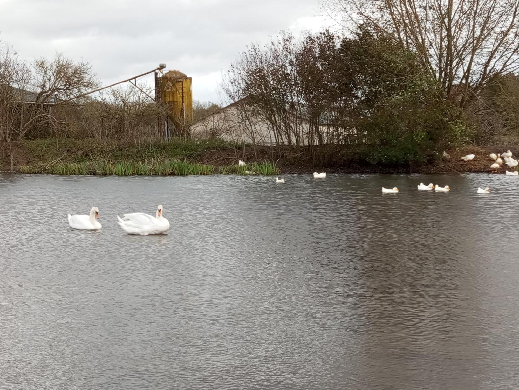 Le Moulin Neuf *